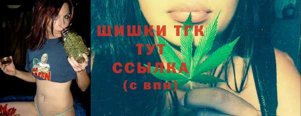 шишки Абаза
