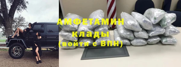 шишки Абаза
