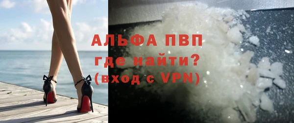 шишки Абаза