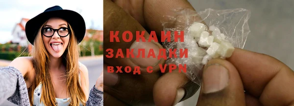 шишки Абаза