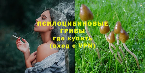 шишки Абаза