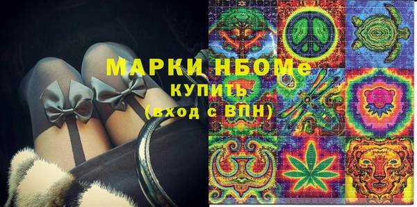 шишки Абаза