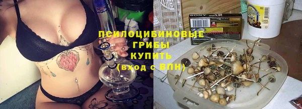 мяу мяу мука Абдулино