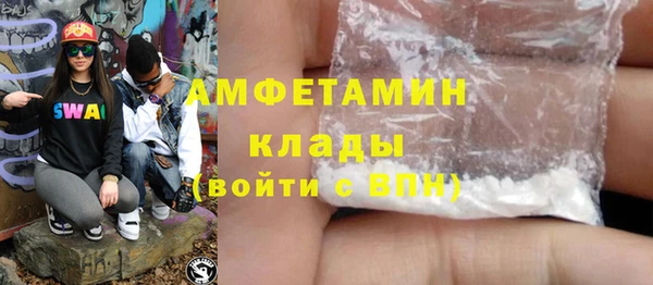 шишки Абаза