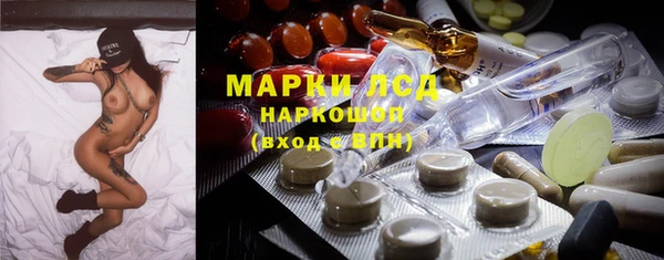 шишки Абаза