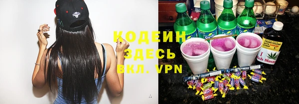 шишки Абаза