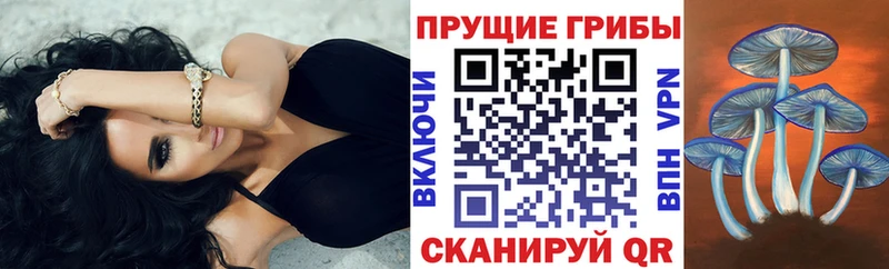 Псилоцибиновые грибы MAGIC MUSHROOMS Шахты