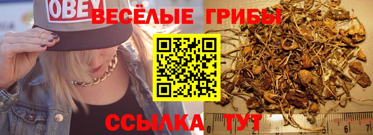 Шахты  Галлюциногенные грибы Cubensis  Псилоцибиновые грибы ЛСД  Вход с VPN 